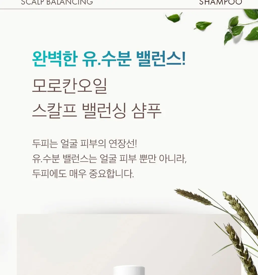 [두피 케어] 모로칸오일 스칼프 밸런싱 샴푸 250ml 상세페이지 10